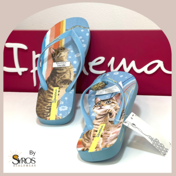 Sandalias Ipanema basicas azul claro gatico